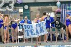 Swimming & Diving vs Babson  Swimming & Diving vs Babson College. - Photo by Keith Nordstrom : Wheaton, Swimming
